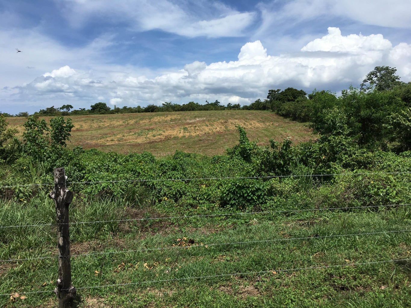 Commercial Property for Sale in SanCarlos Panamá Province 07033